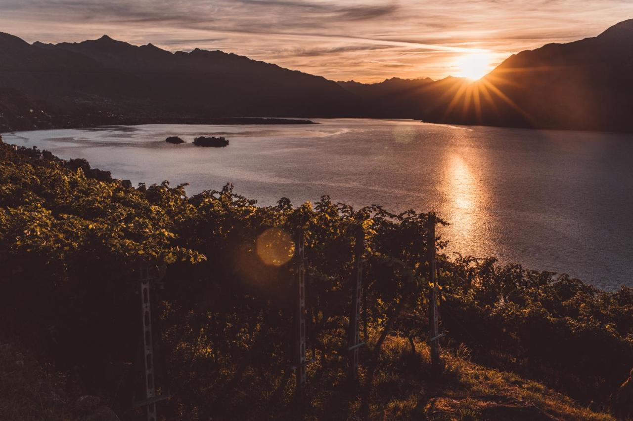 Hotel Villa Emden Brissago Ngoại thất bức ảnh